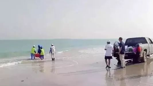 德赢·(VWIN)官方网站-AC米兰官方相助同伴