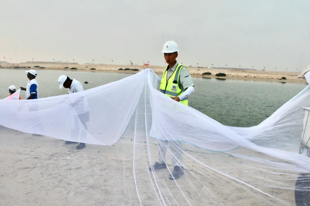 德赢·(VWIN)官方网站-AC米兰官方相助同伴