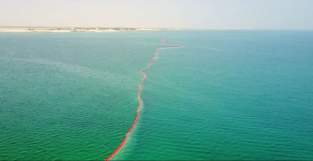 德赢·(VWIN)官方网站-AC米兰官方相助同伴