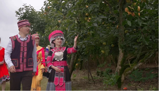 德赢·(VWIN)官方网站-AC米兰官方相助同伴