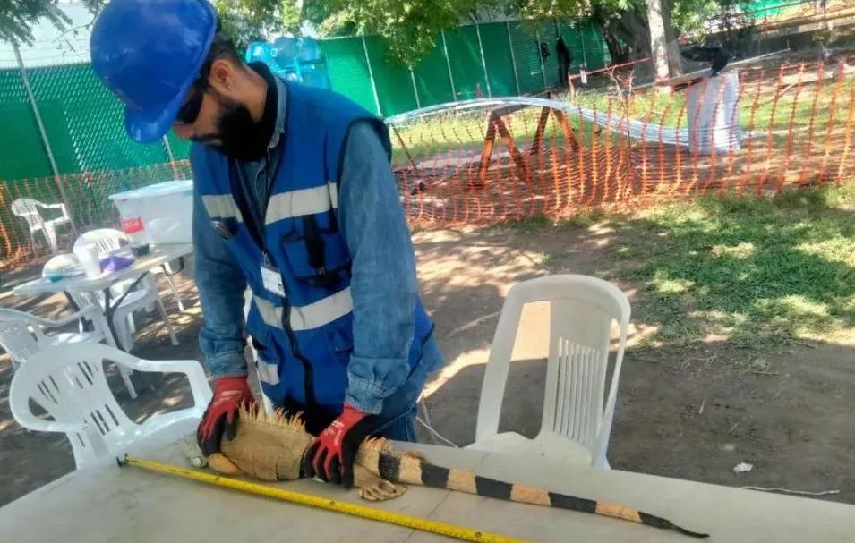 德赢·(VWIN)官方网站-AC米兰官方相助同伴