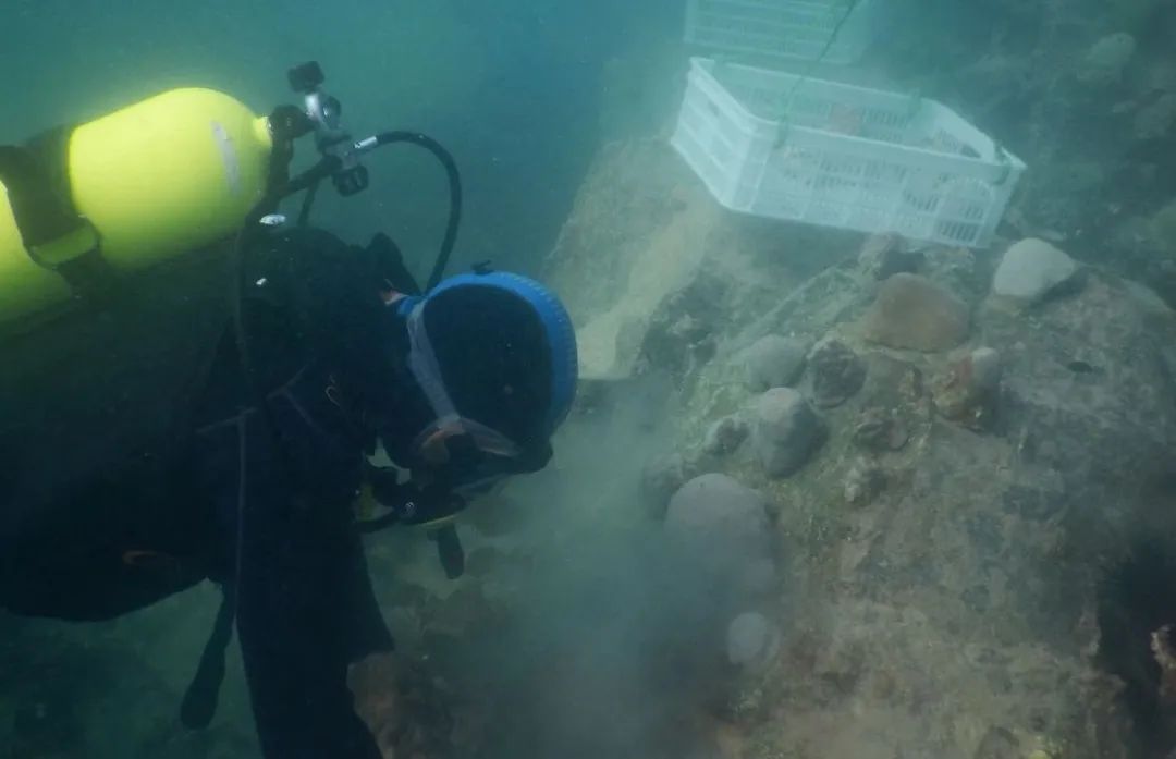 德赢·(VWIN)官方网站-AC米兰官方相助同伴