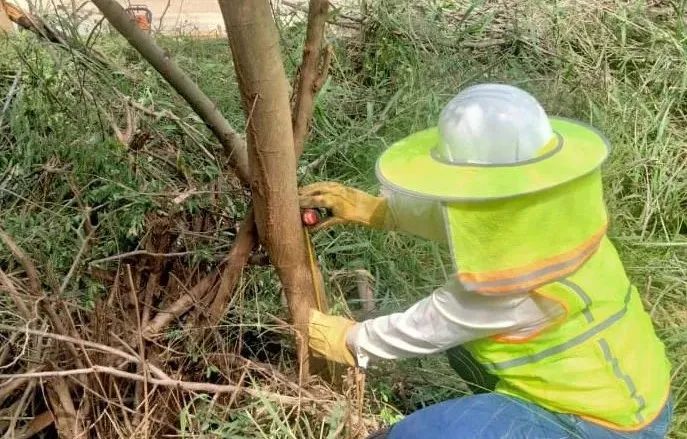 德赢·(VWIN)官方网站-AC米兰官方相助同伴