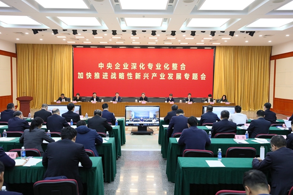 CABAB01DD0F3D5404CFEFDC86C0_BFED035F_35CFF.jpg?e=