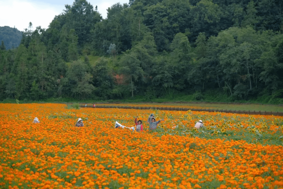 德赢·(VWIN)官方网站-AC米兰官方相助同伴