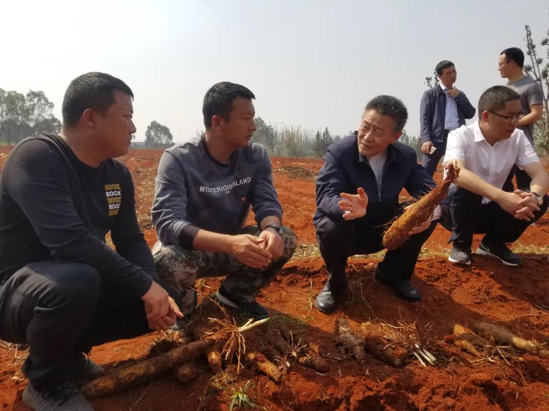 德赢·(VWIN)官方网站-AC米兰官方相助同伴